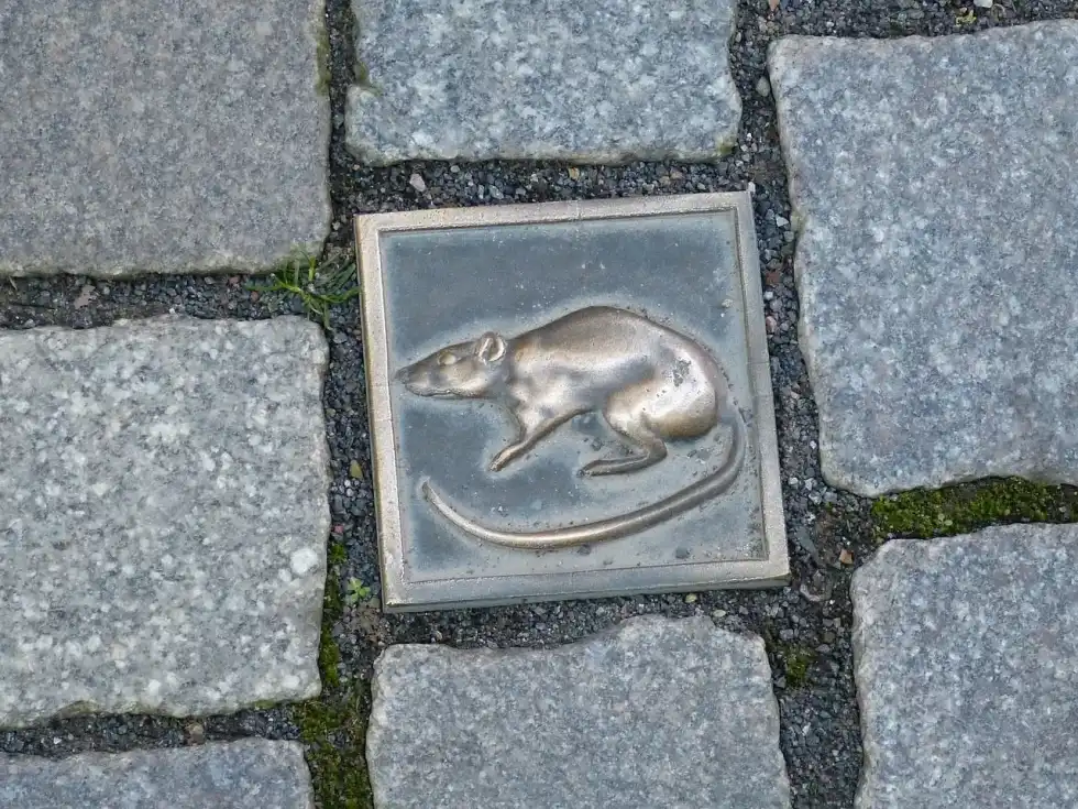 National Rat Catcher's Day is celebrated on July 22 annually.