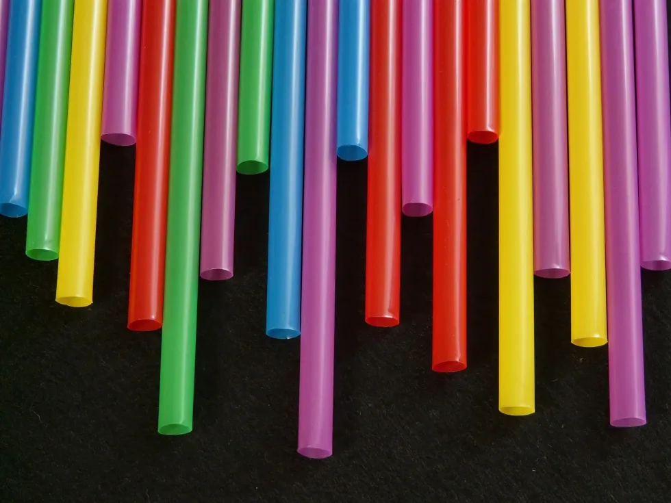 National Skip The Straw Day is used to note the harmful effects of plastic.