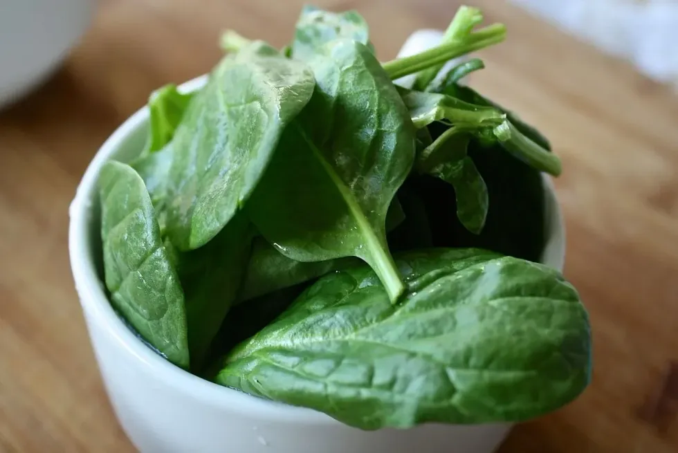 National Spinach Day is the day for you to enjoy a cooked meal of spinach.