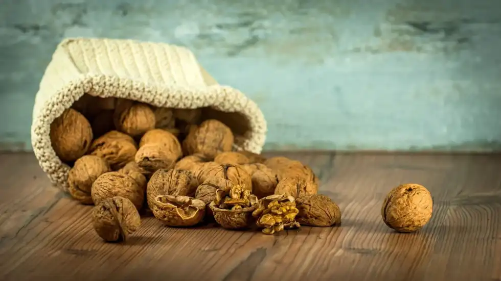 National Walnut Day is the celebration of the black walnut, other walnuts, and their hard shell.