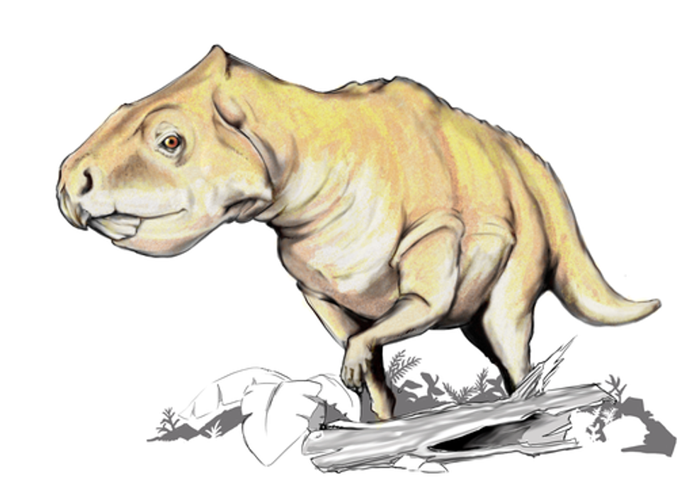 Nedcolbertia roamed the Earth in the early Cretaceous period.