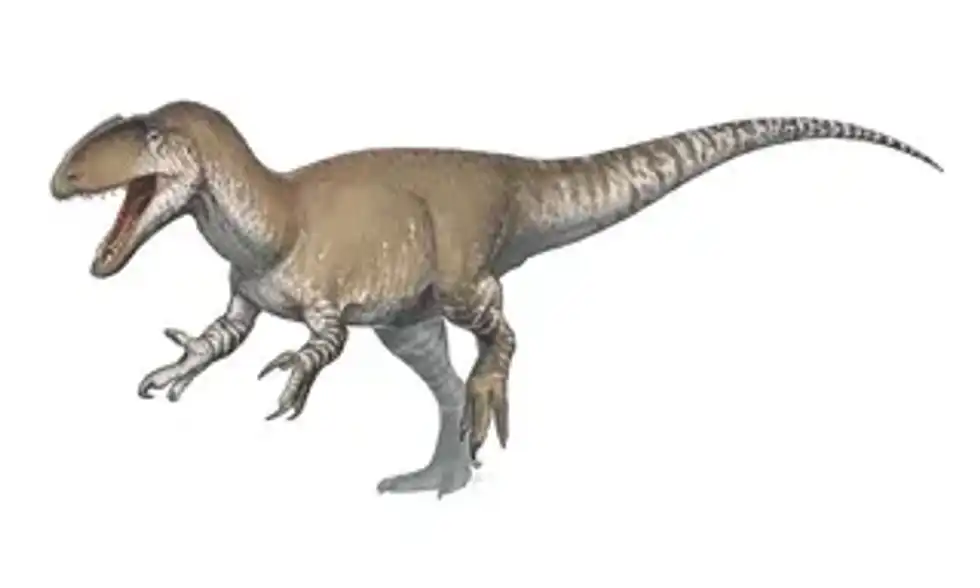 Neovenator facts are interesting to read.