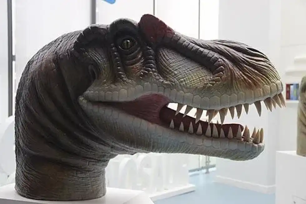 Neuquenraptor facts for kids are very interesting.
