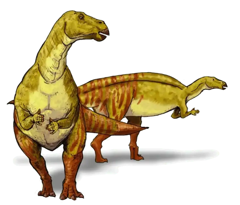 New Caseosaurus facts are highly interesting.