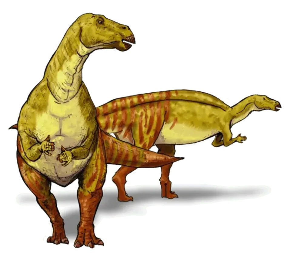 New Caseosaurus facts are highly interesting.