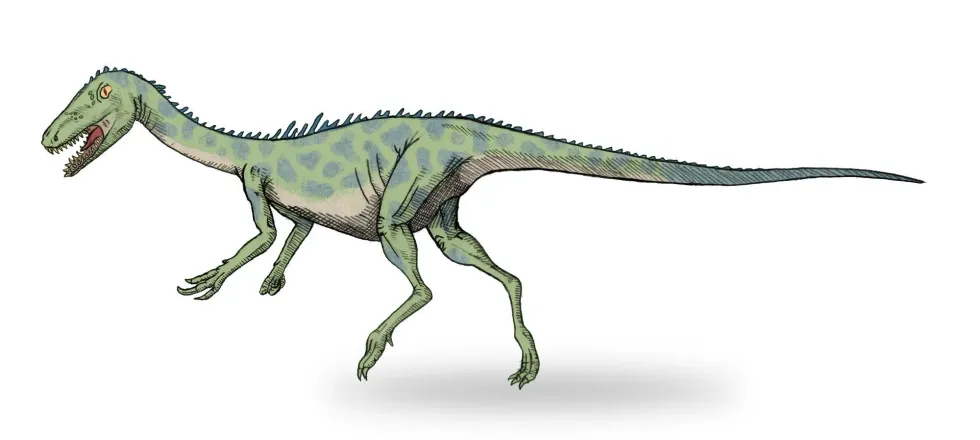 Noasaurus facts include that this lizard had a sharp, curved claw on its hands.