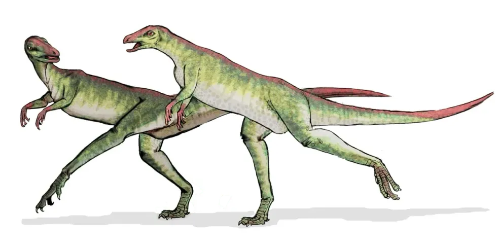 Notatesseraeraptor was a Theropod dinosaur.