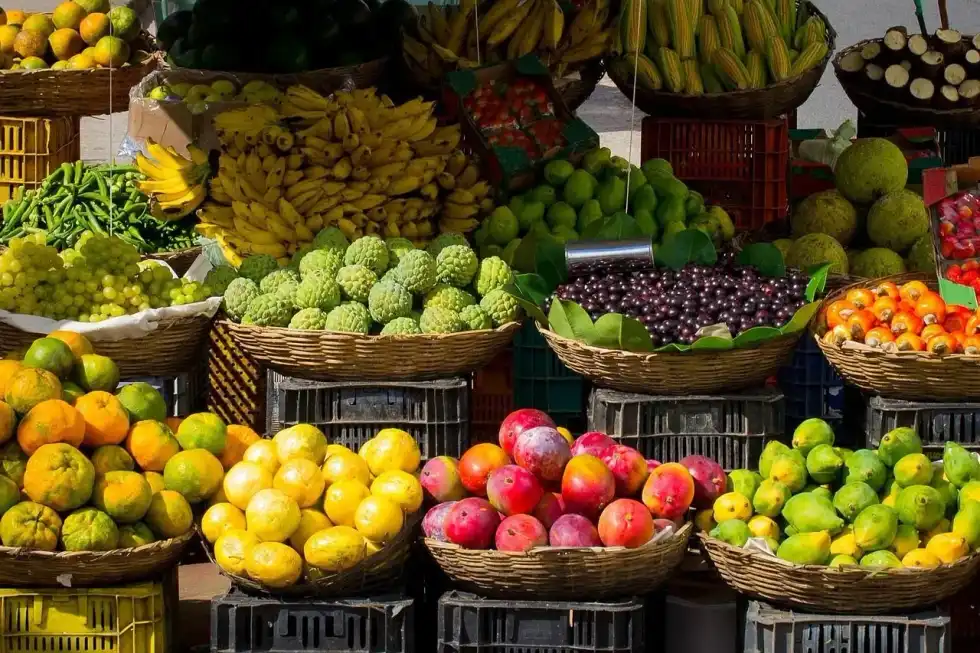 Observe Sustainable Gastronomy Day on June 18.
