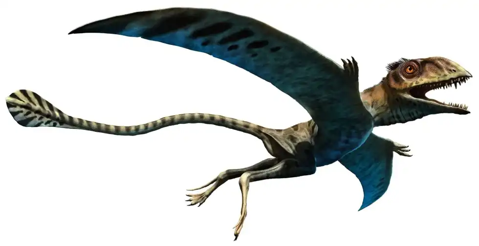 One interesting Peteinosaurus fact is that this was a winged species found in Italy
