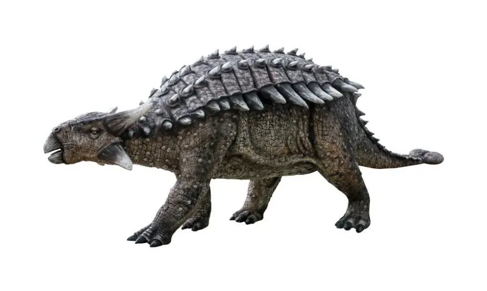 One of the interesting Cryptosaurus facts is that the Cryptosaurus was a small, herbivorous, Ankylosaurian dinosaur.