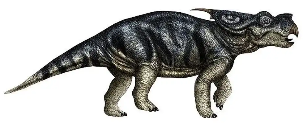 One of the interesting Hamipterus facts include that they were flying dinosaurs.