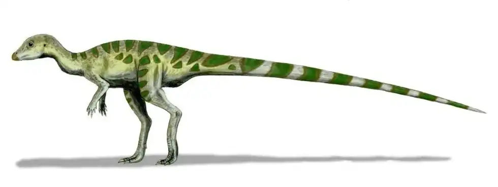 One of the interesting Hypsilophodont facts is that they were named by Thomas Huxley, who is also known as 'Darwin's Bulldog'