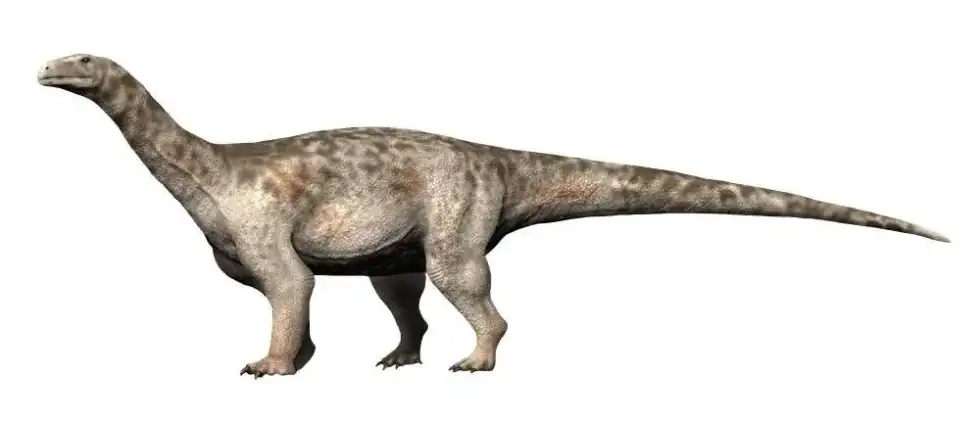 One of the interesting Ledumahadi facts is that they were herbivores