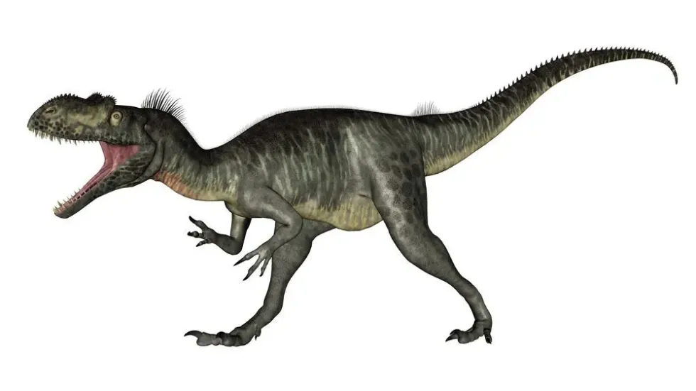 One of the interesting Megalosaurus facts is that it had clawed feet and hands.