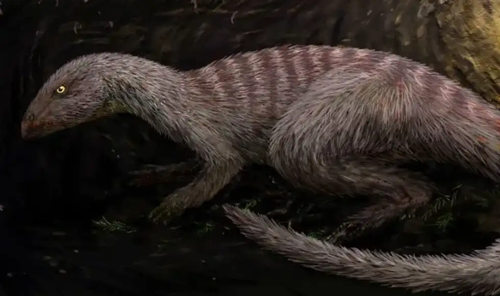 One of the interesting Oryctodromeus facts is that it is one of the few dinosaurs that is known to have lived in burrows in the ground.