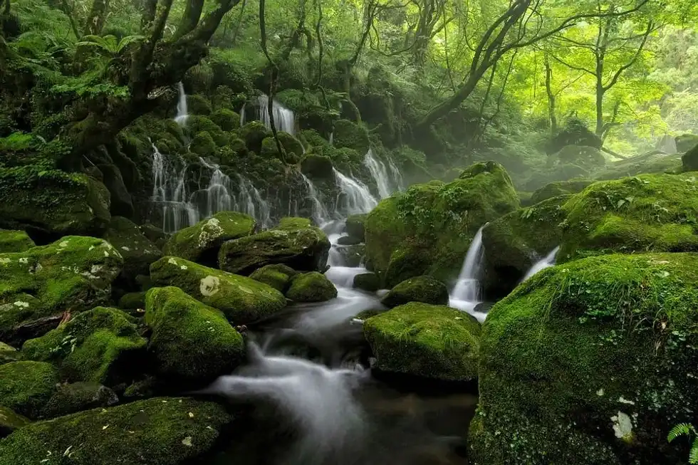 One of the interesting spring water facts is that it is rich in minerals.
