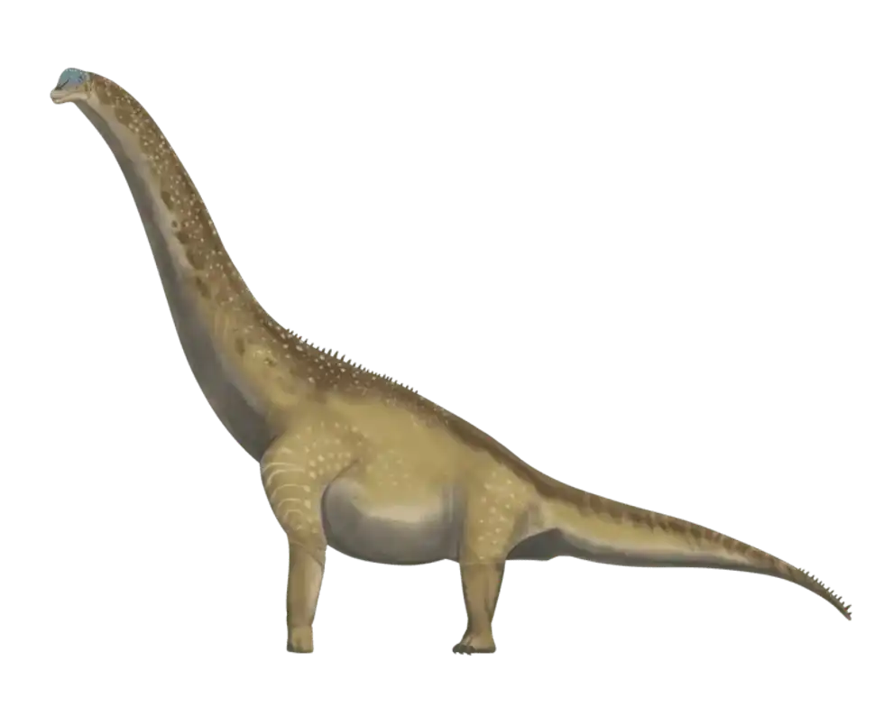 One of the interesting Thotobolosaurus facts is that it was a giant herbivorous dinosaur.