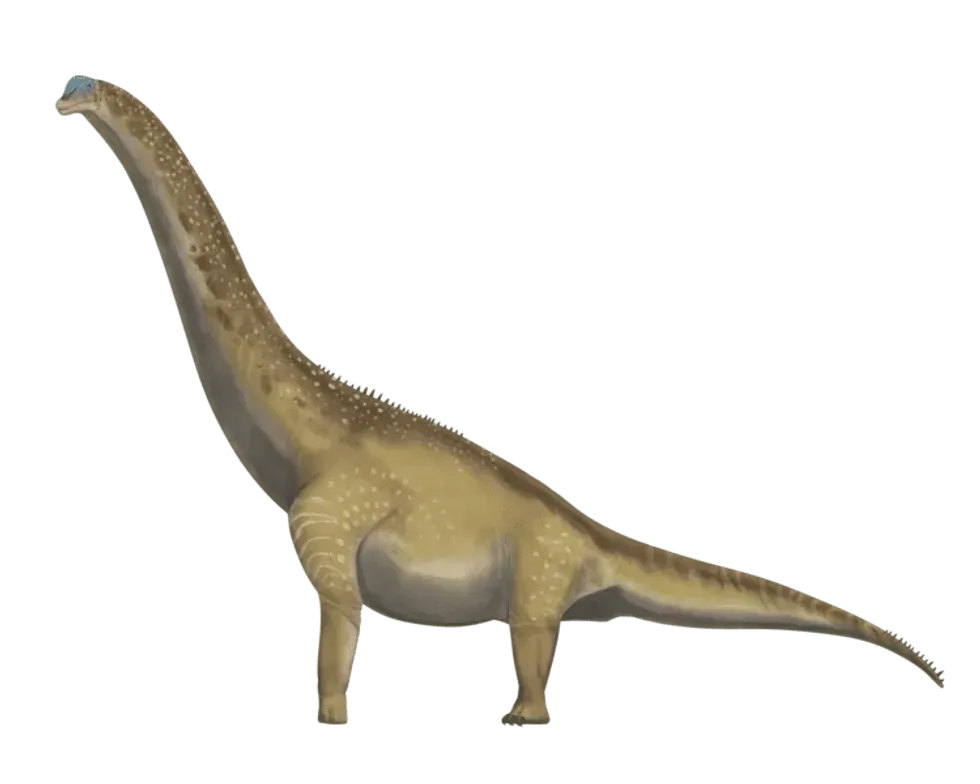 One of the interesting Thotobolosaurus facts is that it was a giant herbivorous dinosaur.