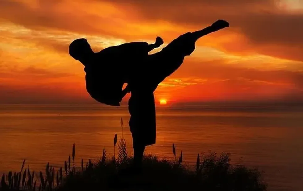 One of the karate facts is that karate is a striking art performed standing up but it does not allow grappling.