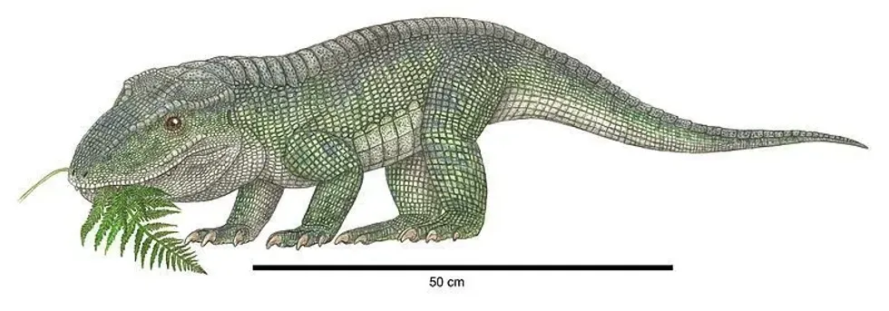 One of the many famous Revueltosaurus facts is they are very similar to the reptiles of today's age, although they are slightly bigger in size.