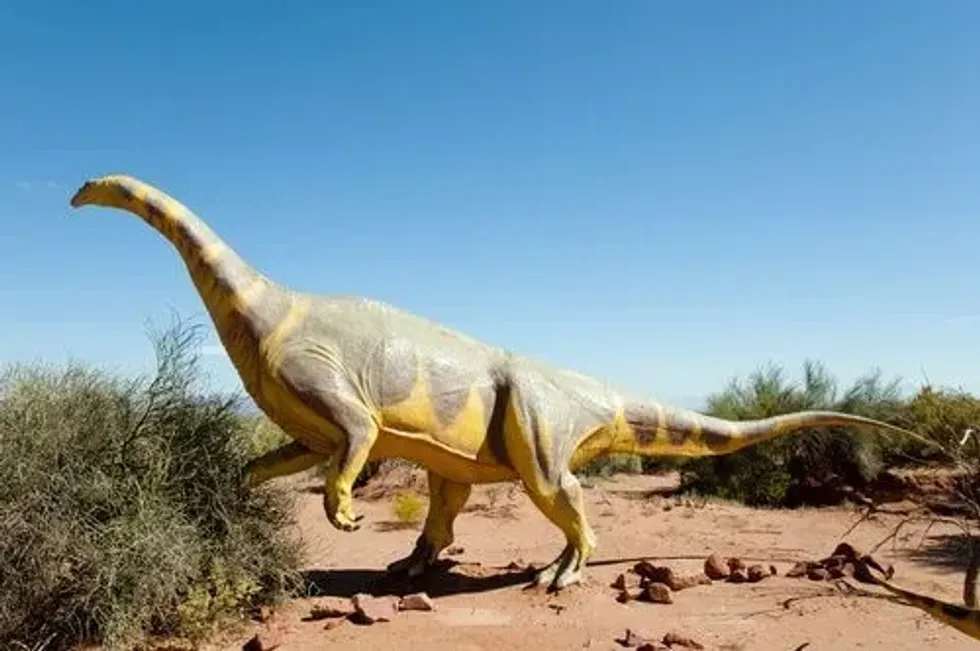 One of the many interesting Riojasaurus facts is that it had a bulky body with clawed, elephant-like legs.
