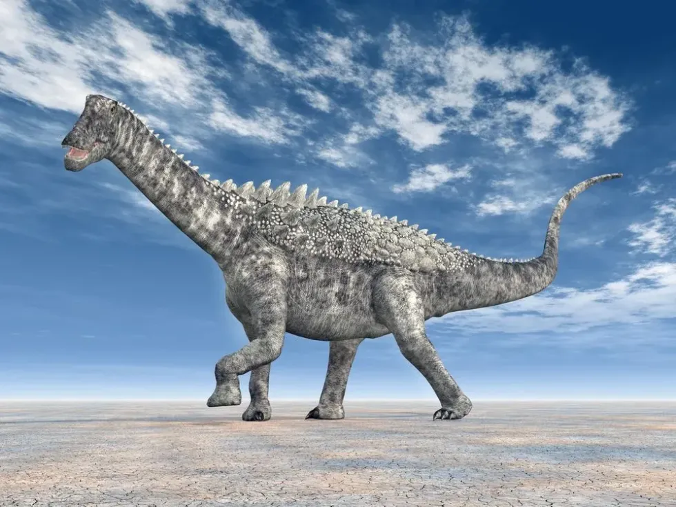 One of the most interesting Ampelosaurus facts is that it had armor-like plates called osteoderms on its back.