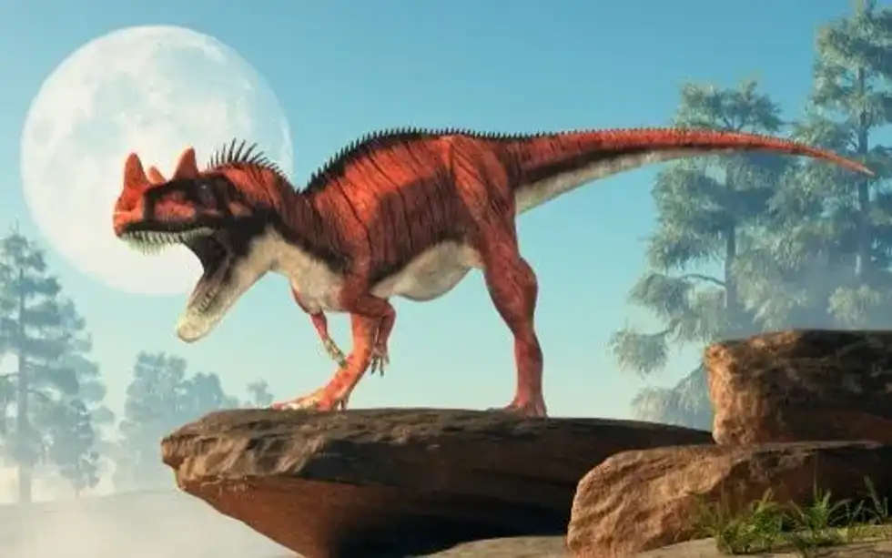 One of the most interesting Pycnonemosaurus facts is that it is the largest Abelisaurid dinosaur ever found.