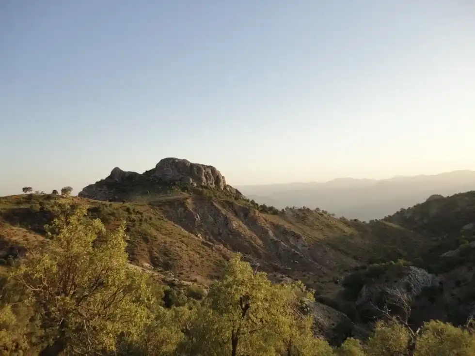 One of the most interesting Zagros mountains facts is that that Zagros mountain range is around 990 mi (1593.2 km) long.