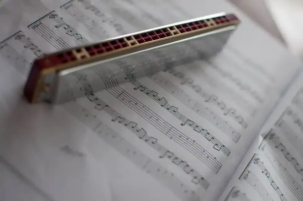 One of the most shocking harmonica facts is that they were invented in the early 1800s.