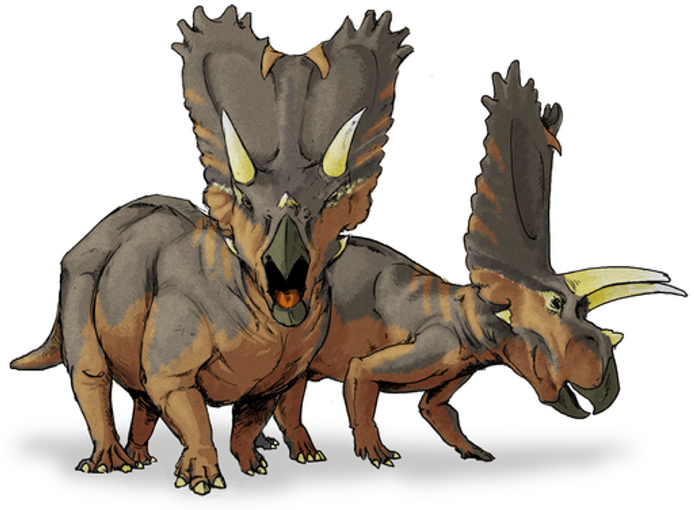 Only one species of the Sauropodomorph dinosaur known to date, the Leonerasaurus.