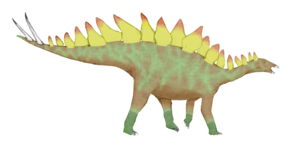 Oplosaurus facts talk about its type species, the Oplosaurus armatus.