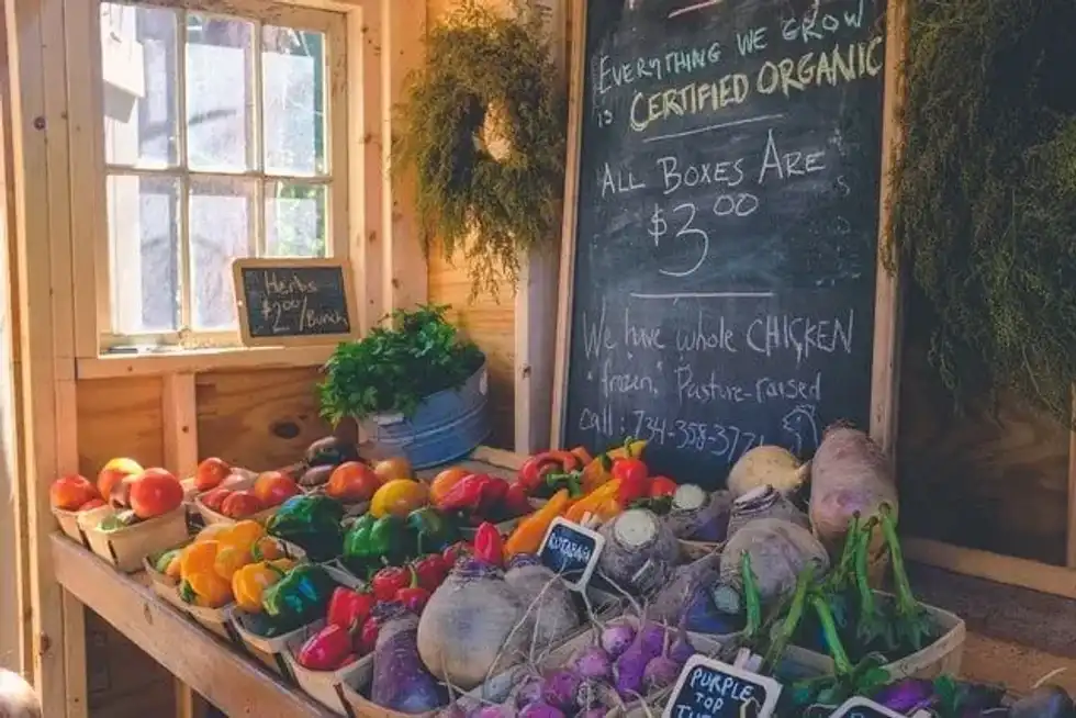 Organic food facts are great for all health enthusiasts!