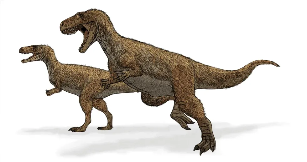 Orthogoniosaurus facts is about this theropod dinosaur.