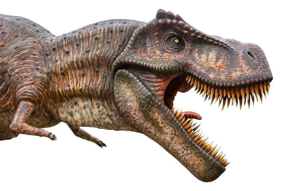 Palaeopteryx was a theropod dinosaur from the Jurassic Age.