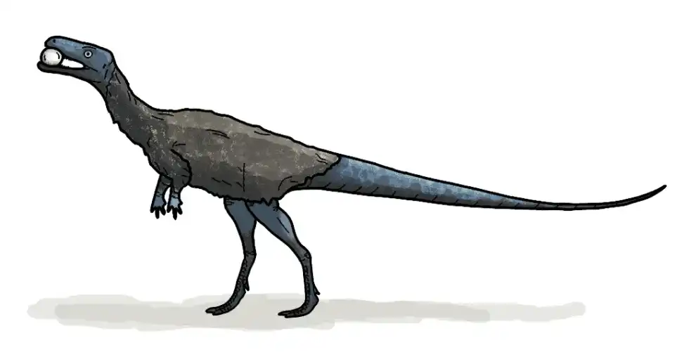 Pampadromaeus facts are all about a small dinosaur of the late Triassic period.