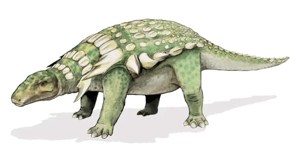 Pantydraco facts are all about a dinosaur of the Triassic period.