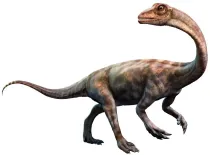 Patagosaurus facts are extremely interesting.