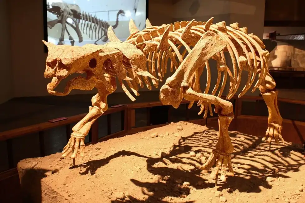 Pinacosaurus facts for kids are interesting!