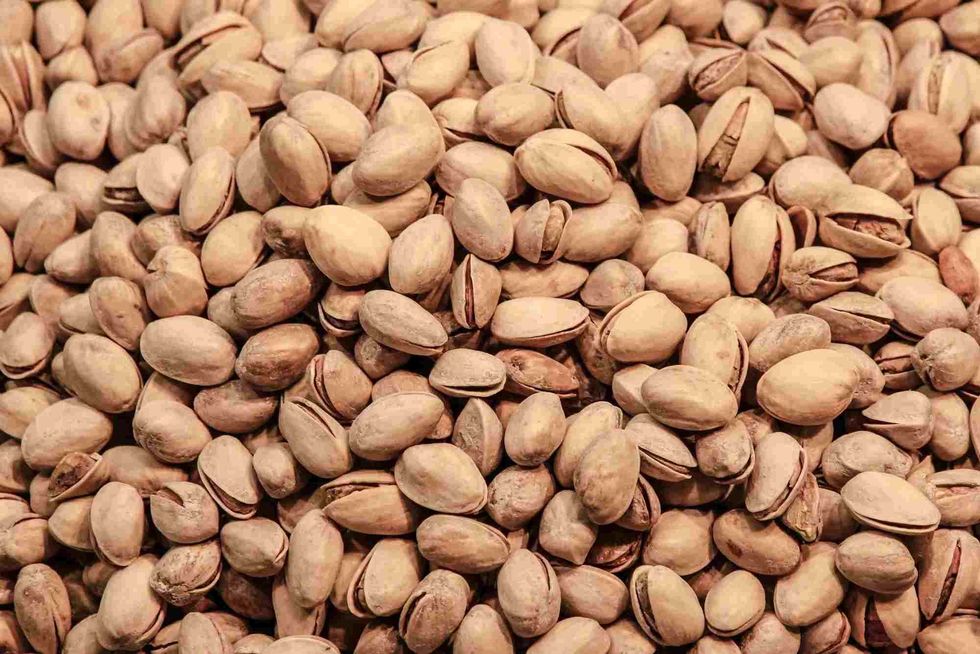 Pistachio trees are found in the deciduous forest