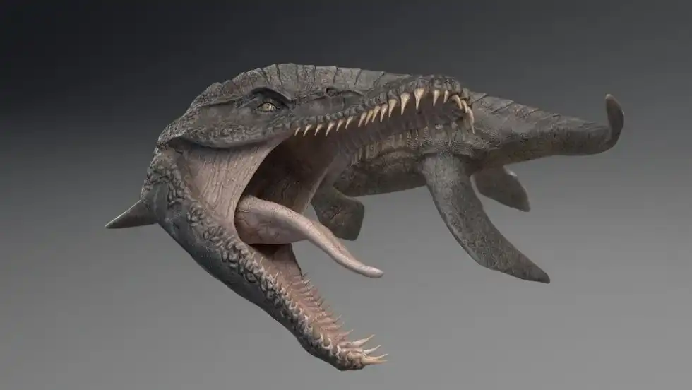 Pliosaurus facts tell you everything you need to know about these marine reptiles. 