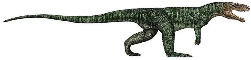 Poposaurus facts are about an archosaur that walked on its two hind legs.