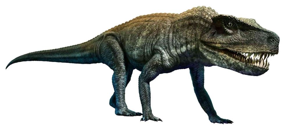 Postosuchus was closely related to modern crocodiles.
