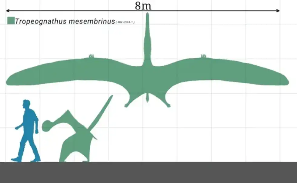 Prejanopterus facts reveal a lot about this flying reptile.