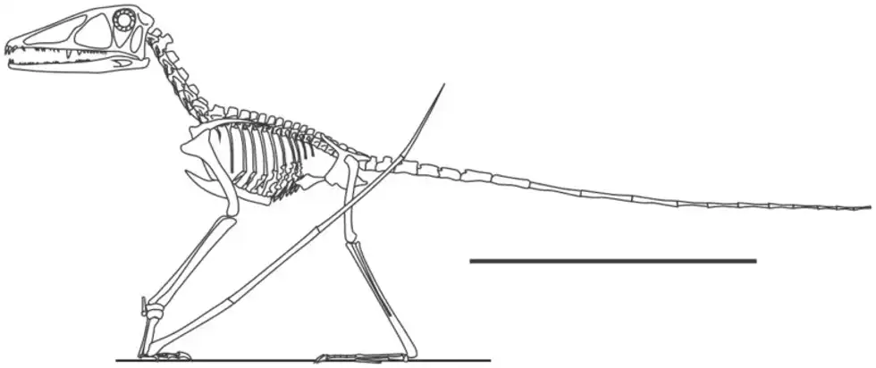 Preondactylus facts these were small marine dinosaurs that could fly and were found in the Preone valley of Italian Alps