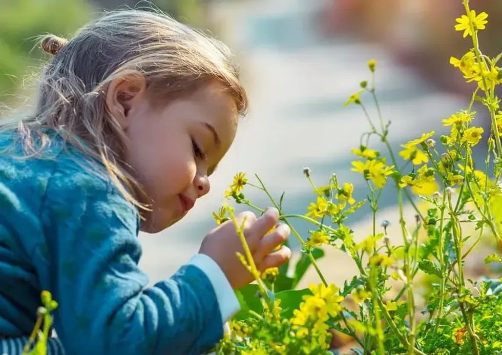 Preschooler stops to smell the flowers in the garden.