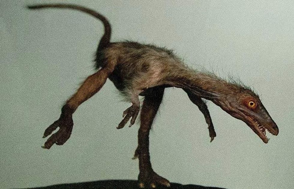 Procompsognathus was a small therapod from Late Triassic era.