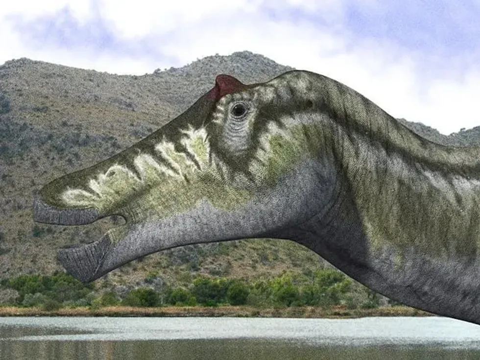Prosaurolophus facts reveal an interesting feature of these herbivorous dinosaurs.