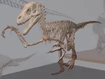 Pterospondylus facts are extremely captivating.