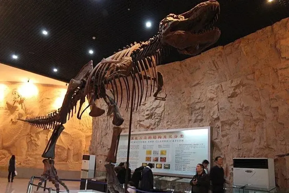 Pukyongosaurus facts include that is a large Sauropod genus found in South Korea during the early Cretaceous period.