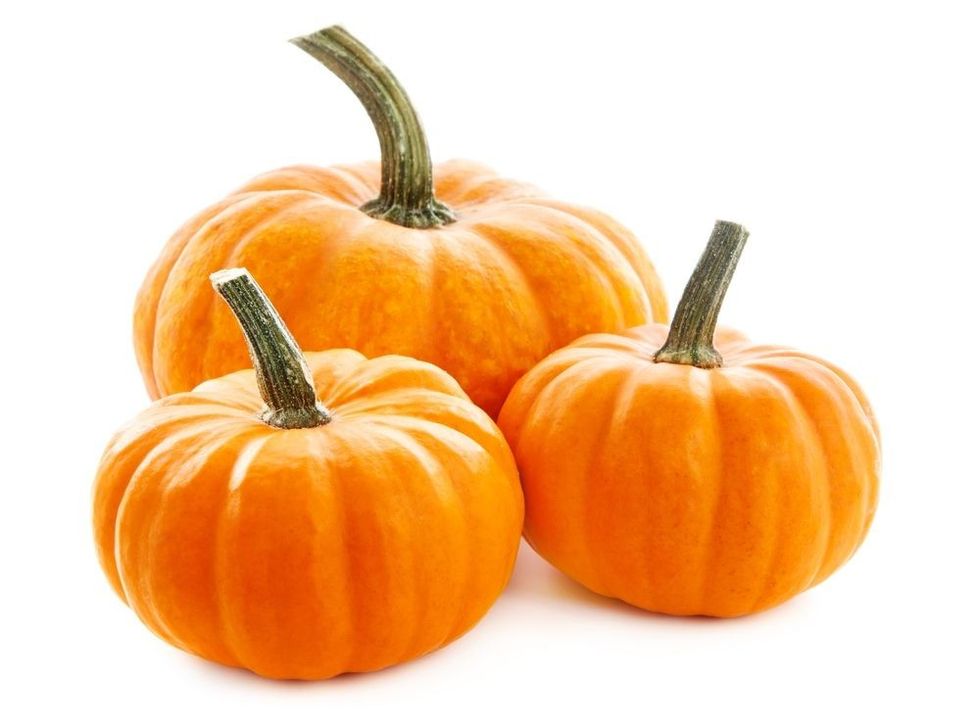 Pumpkins isolated on white background.